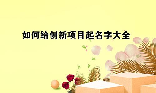 如何给创新项目起名字大全