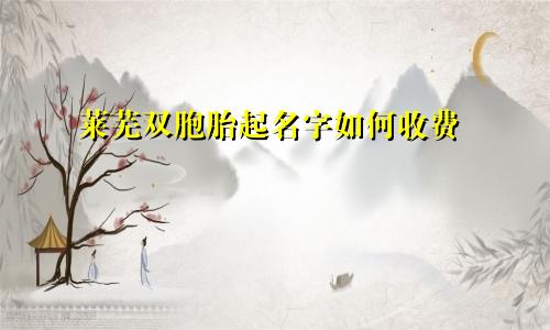 莱芜双胞胎起名字如何收费