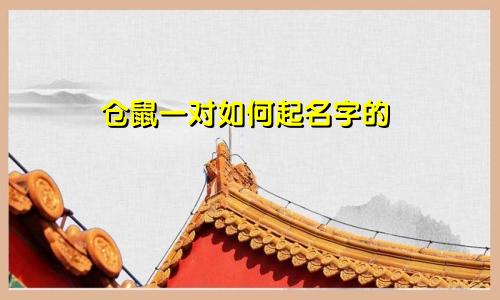仓鼠一对如何起名字的