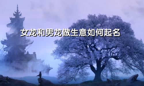女龙和男龙做生意如何起名