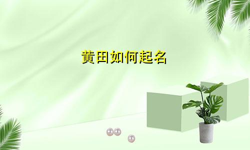 黄田如何起名
