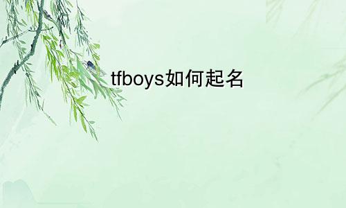 tfboys如何起名