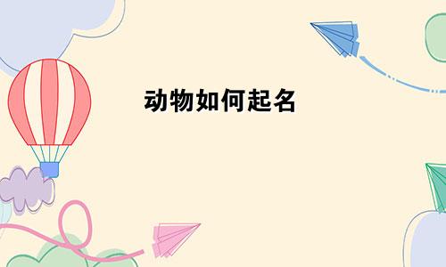 动物如何起名