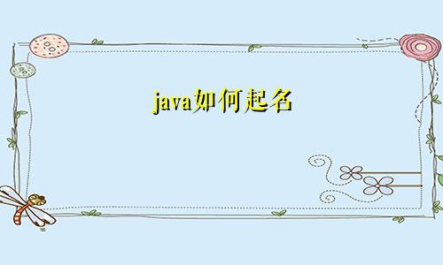 java如何起名