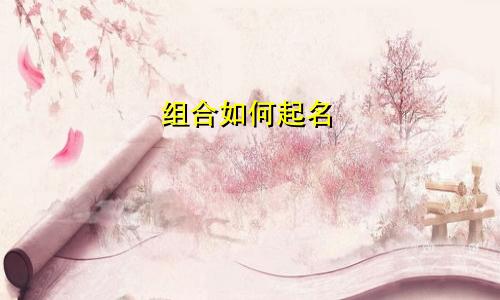 组合如何起名