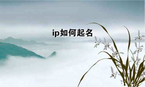 ip如何起名