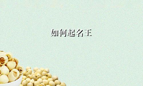如何起名王
