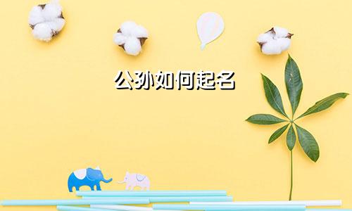 公孙如何起名