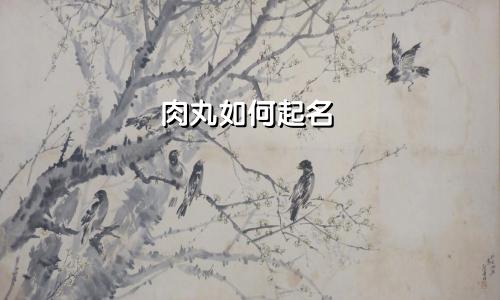 肉丸如何起名