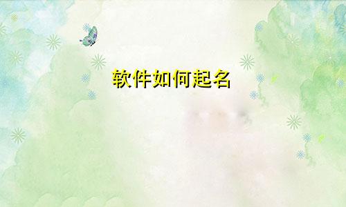 软件如何起名