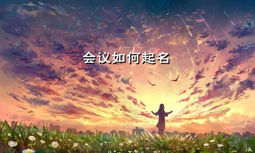 会议如何起名