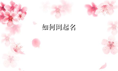 如何网起名