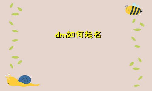 dm如何起名