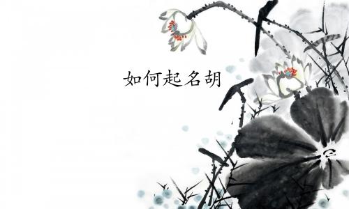如何起名胡
