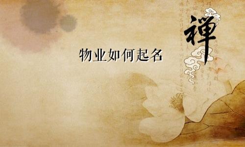 物业如何起名