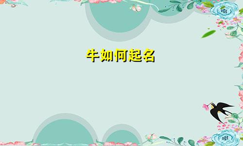 牛如何起名