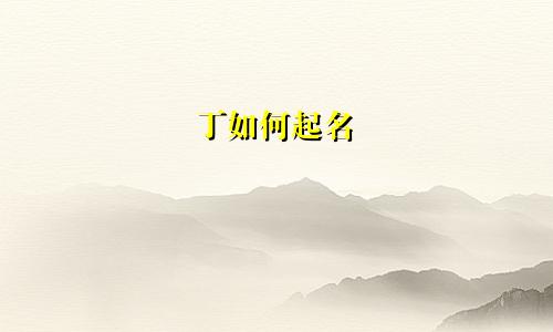 丁如何起名