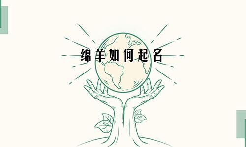 绵羊如何起名