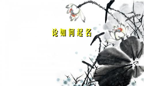 论如何起名