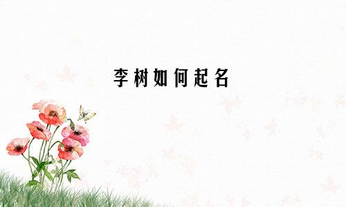 李树如何起名