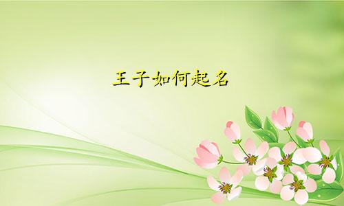 王子如何起名