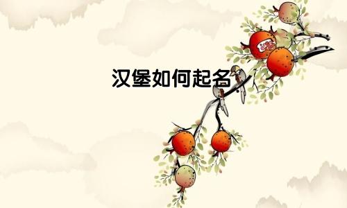 汉堡如何起名