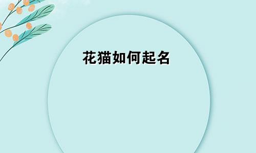 花猫如何起名