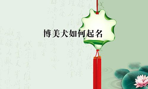 博美犬如何起名