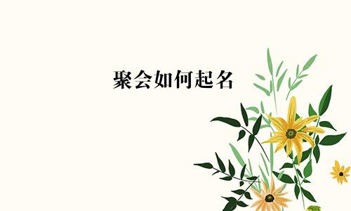 聚会如何起名