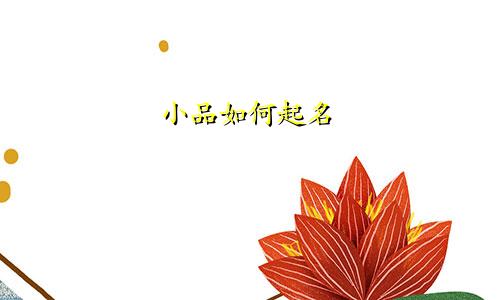 小品如何起名