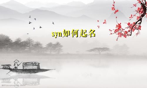 syn如何起名