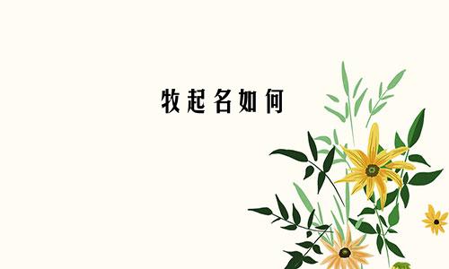 牧起名如何