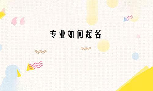 专业如何起名