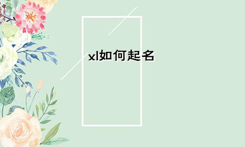 xl如何起名