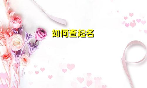 如何查起名