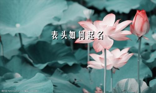 表头如何起名