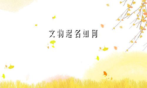 文物起名如何