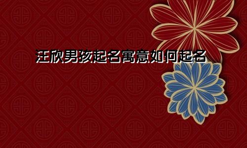 汪欣男孩起名寓意如何起名