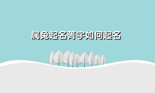 属兔起名菁字如何起名