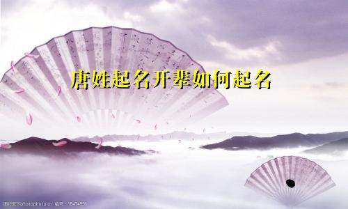 唐姓起名开辈如何起名