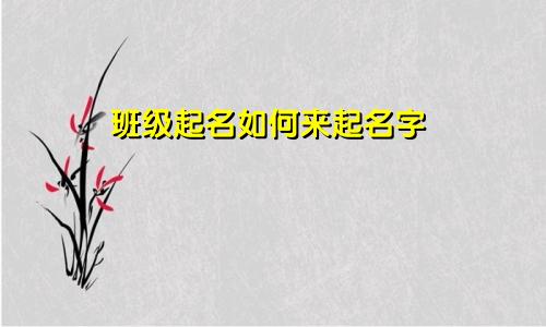 班级起名如何来起名字