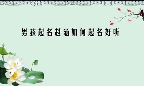 男孩起名赵涵如何起名好听