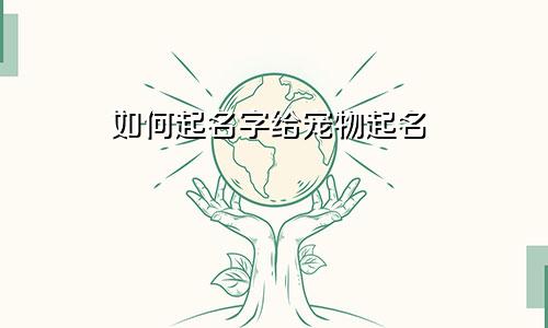 如何起名字给宠物起名