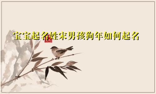 宝宝起名姓宋男孩狗年如何起名