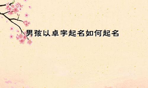 男孩以卓字起名如何起名