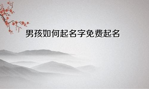 男孩如何起名字免费起名