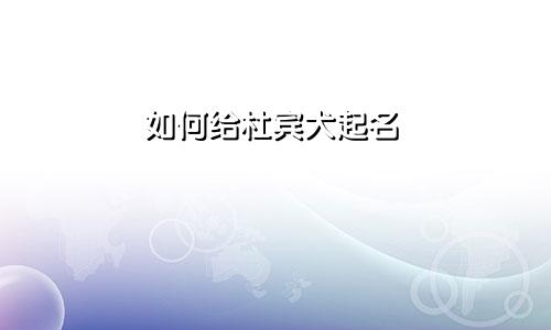 如何给杜宾犬起名