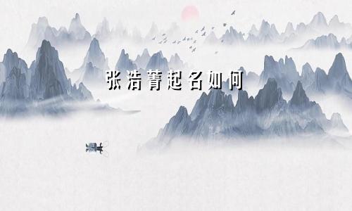 张浩菁起名如何
