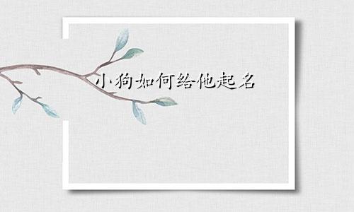小狗如何给他起名