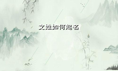 文姓如何起名